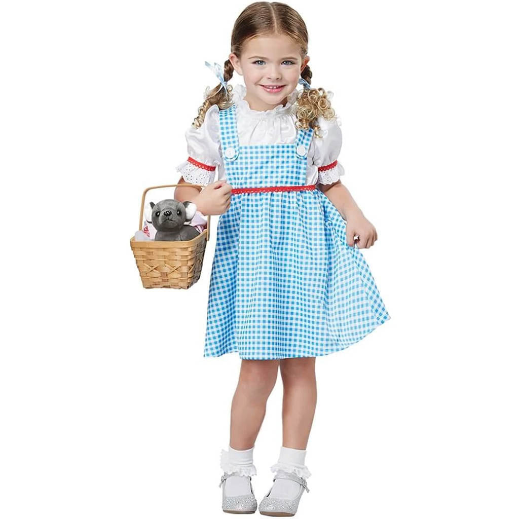 Dorothy Costume