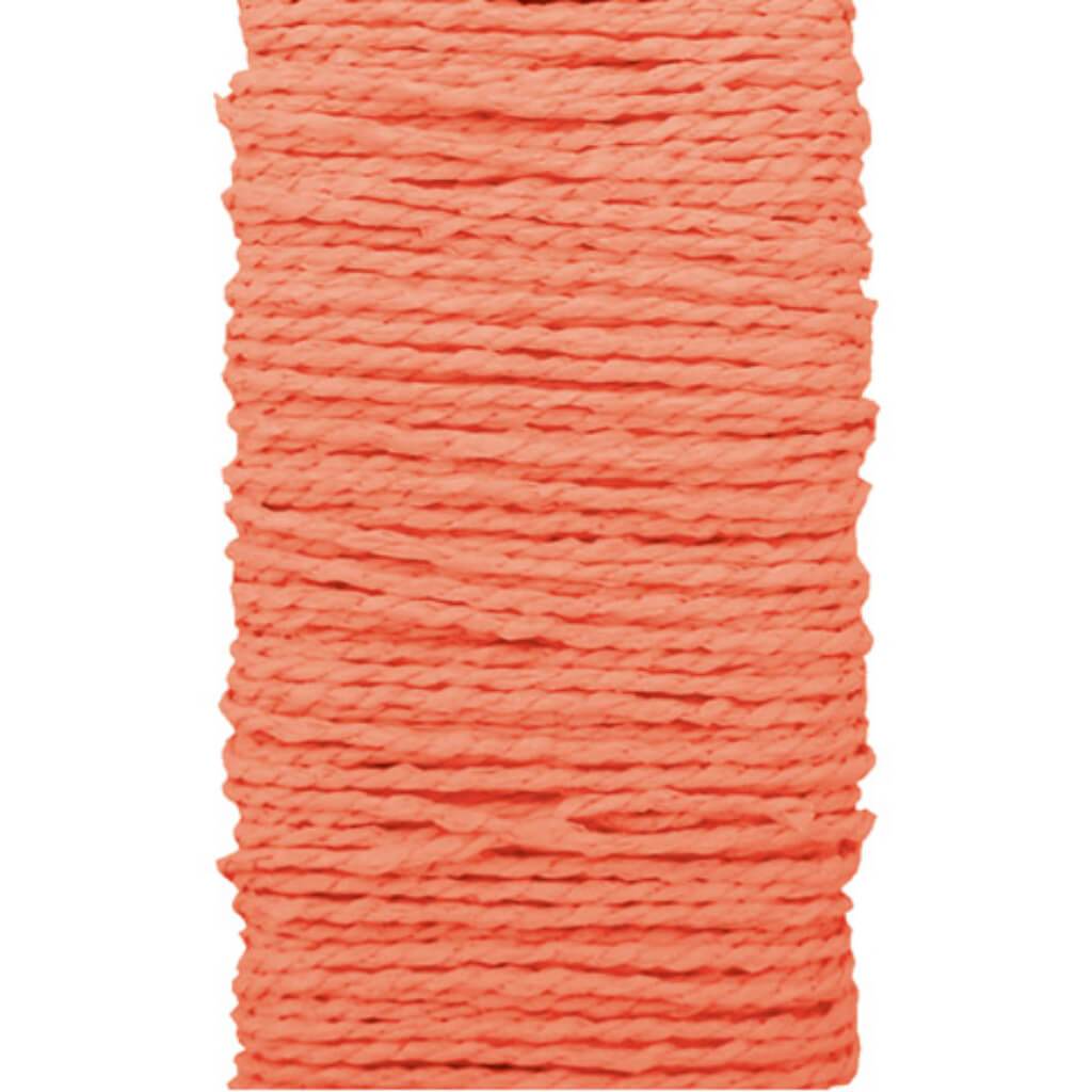 PAPER ROPE CORAL 30YD 