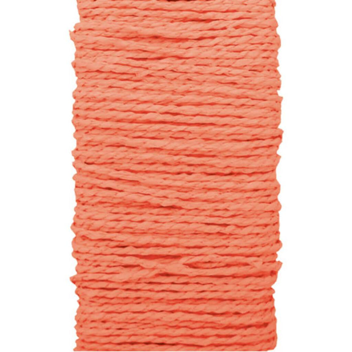 PAPER ROPE CORAL 30YD 