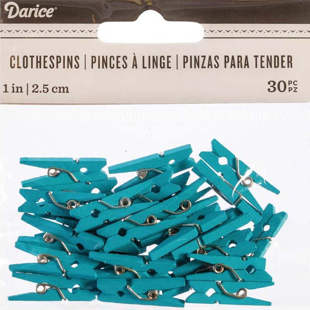 CLOTHESPINS SM 30 PC TURQUOISE 