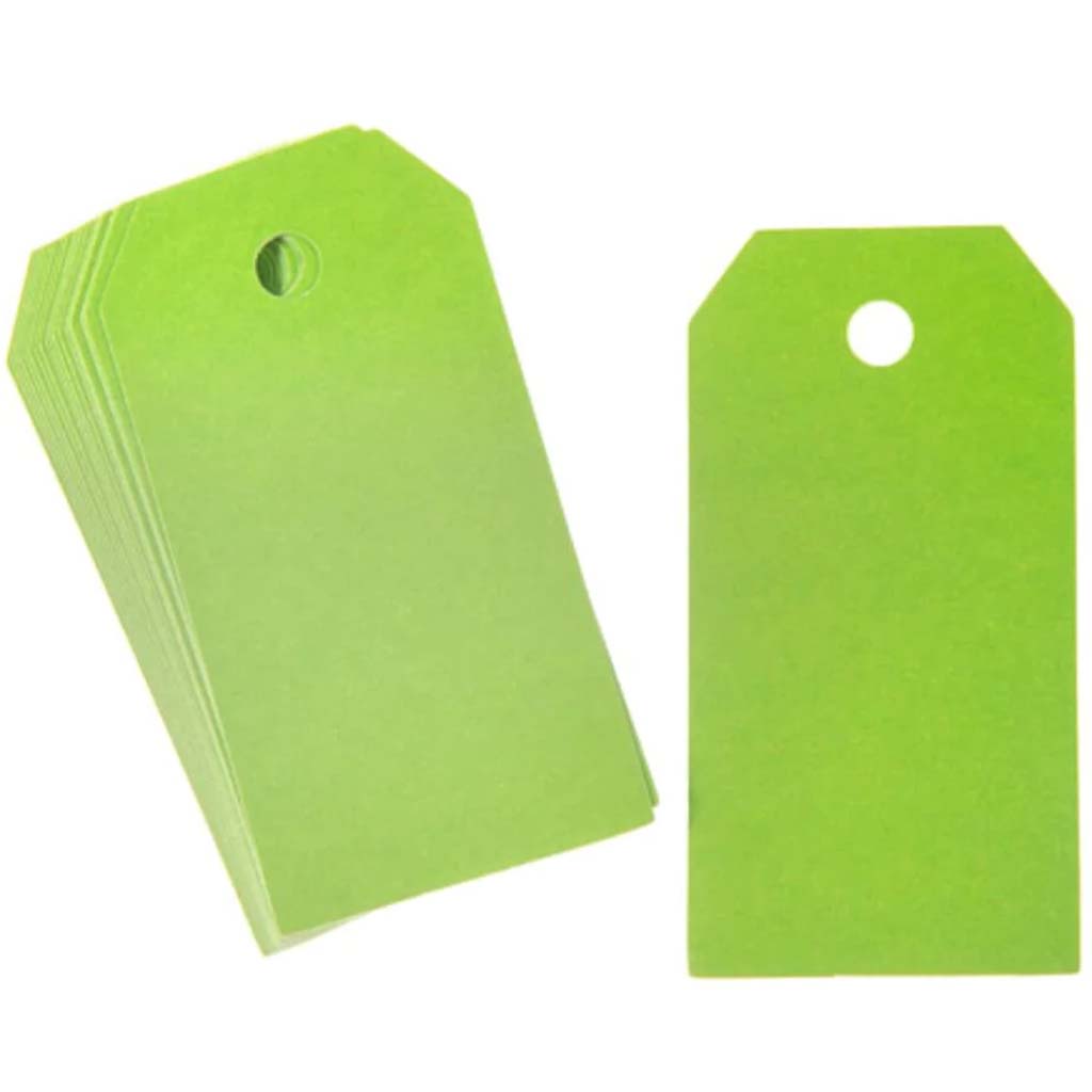 Solid Green Rectangle Paper Tags: 2 x 3in, 20 pieces 