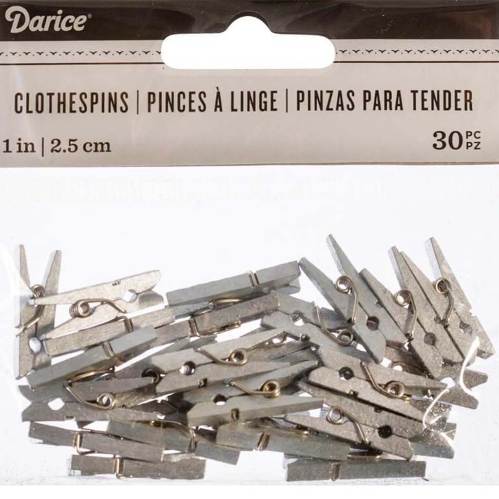 CLOTHESPINS SM 30 PC SILVER 