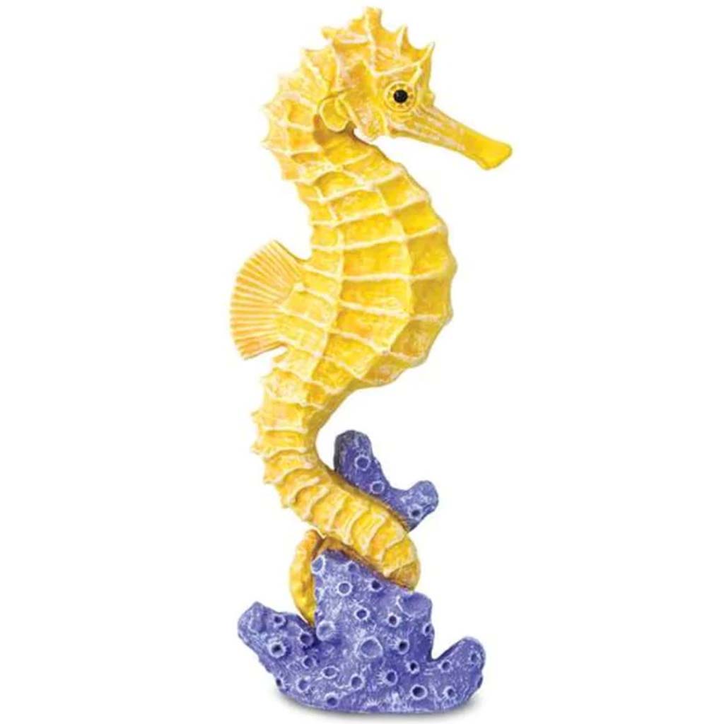 Seahorse 