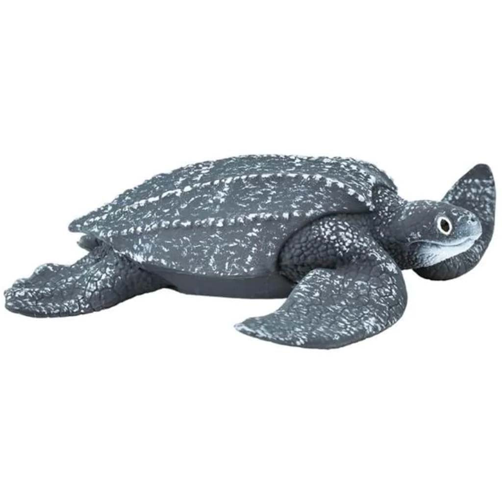 Leatherback Sea Turtle 