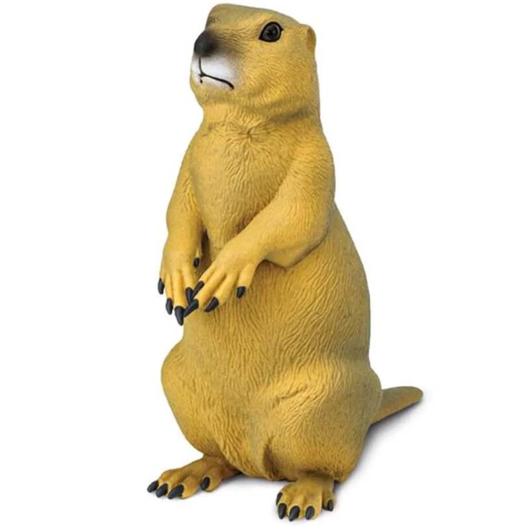 Prairie Dog 