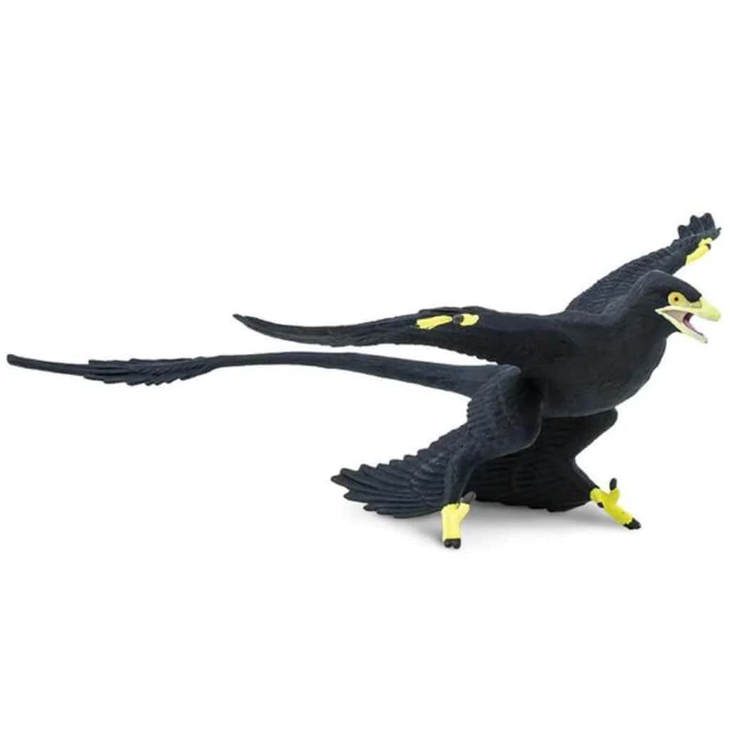 Microraptor 