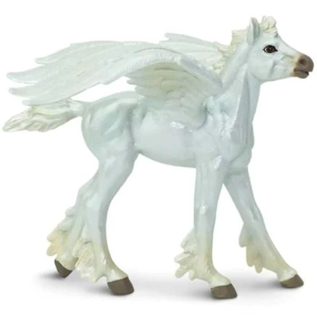 Baby Pegasus 