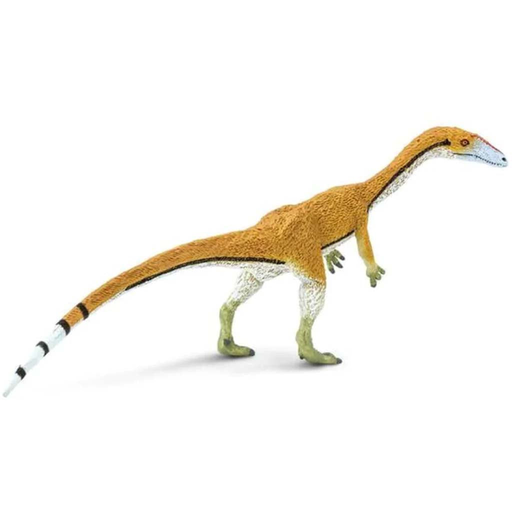 Coelophysis 