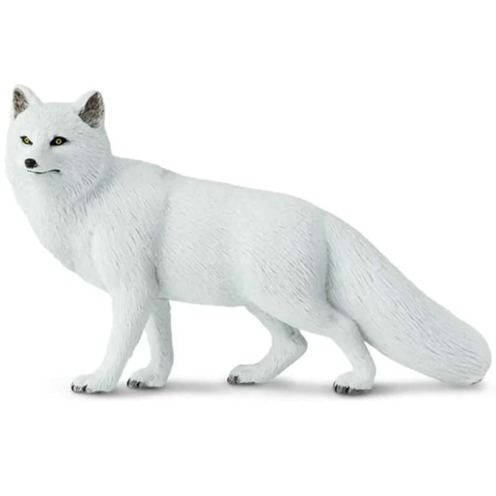 Arctic Fox 