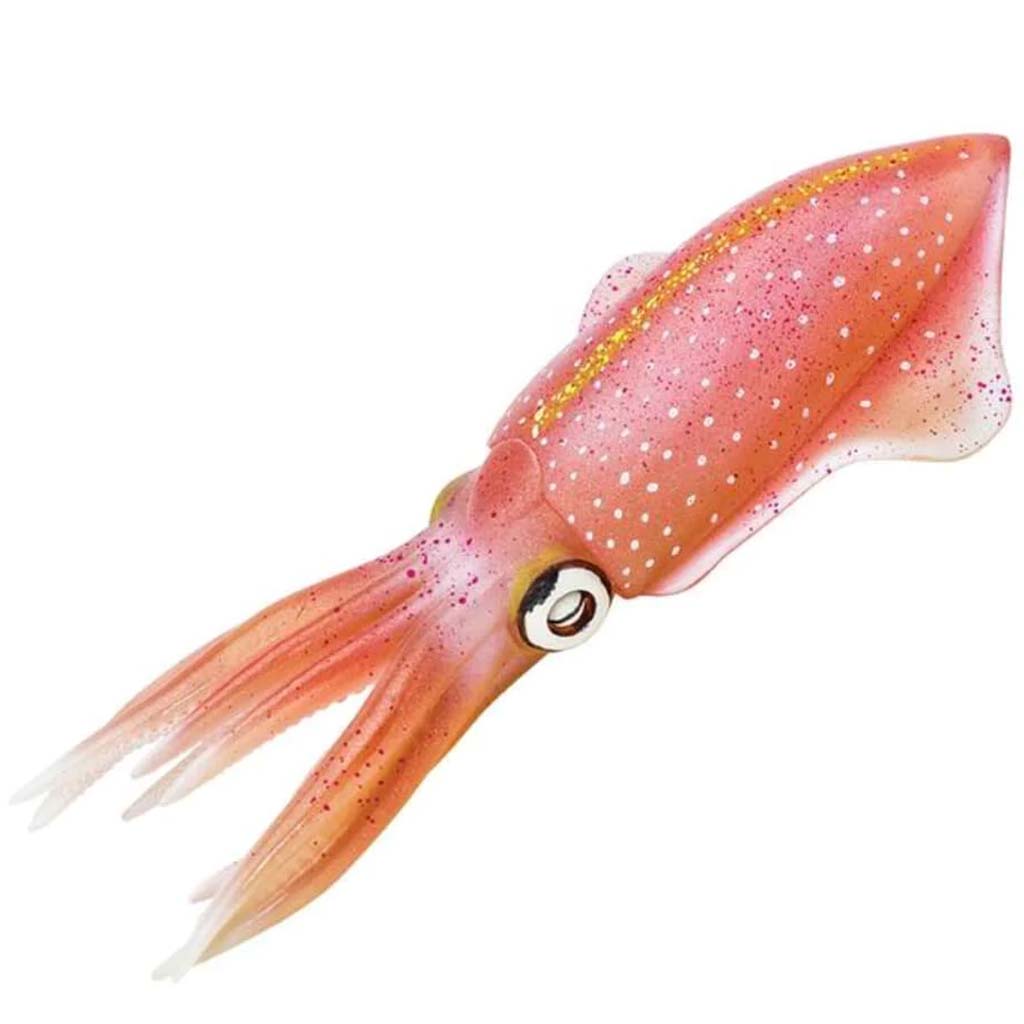 Reef Squid 