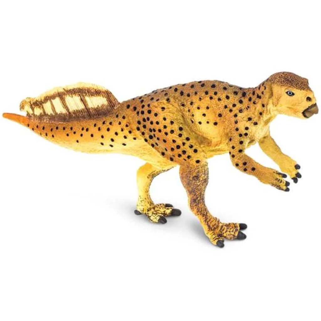 Psittacosaurus 