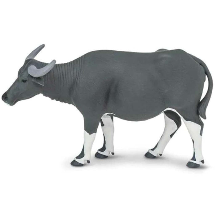 Carabao 