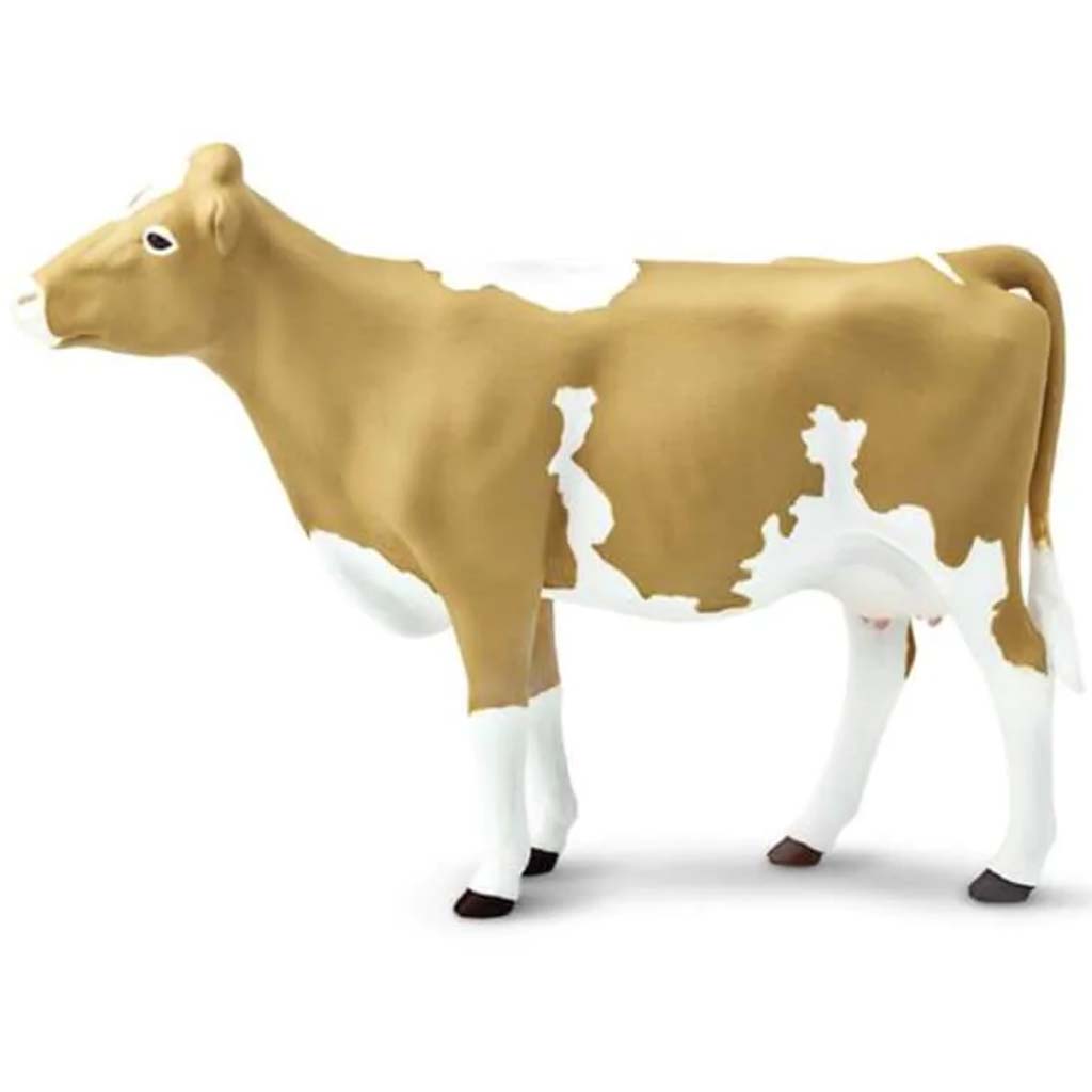 Guernsey Cow 