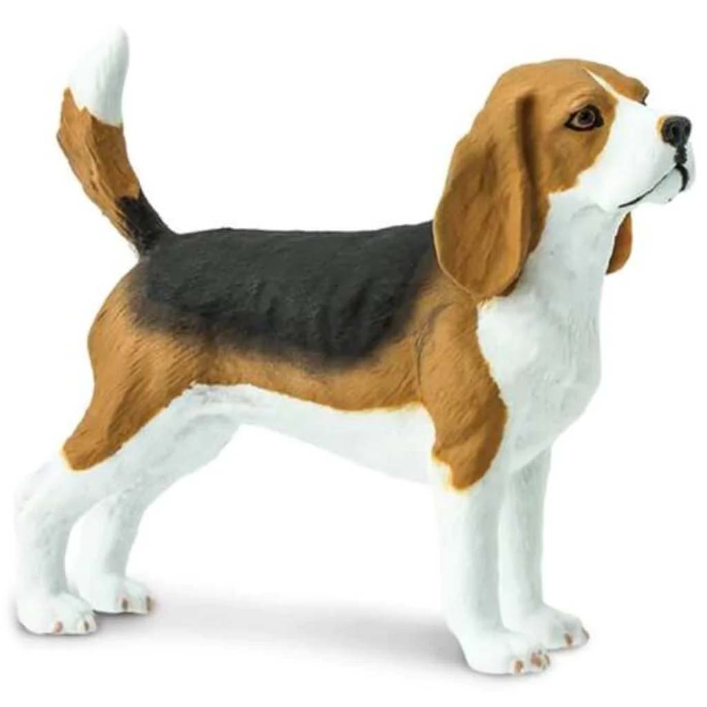 Beagle 