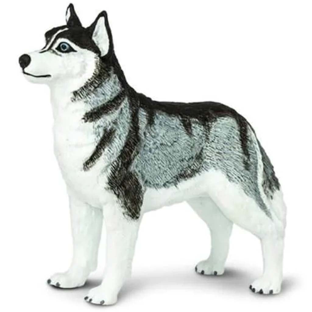 Toy siberian husky sales for sale