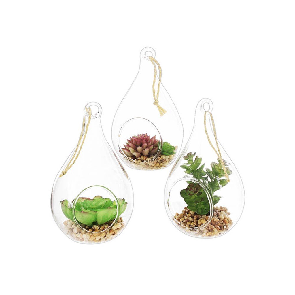 3 Glass Teardrop Succulents In 