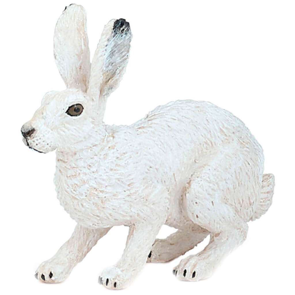 PAPO ARCTIC HARE 