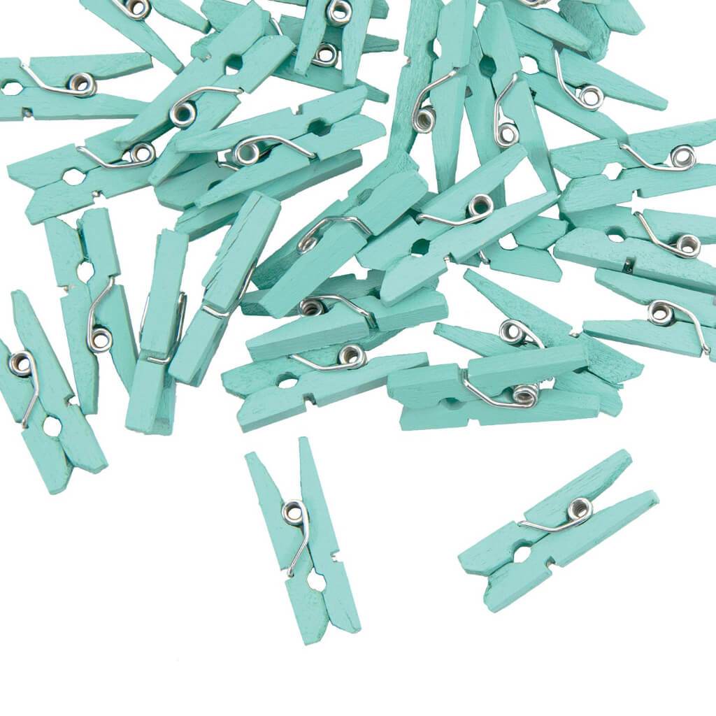 CLOTHESPINS MED 30CT MINT 