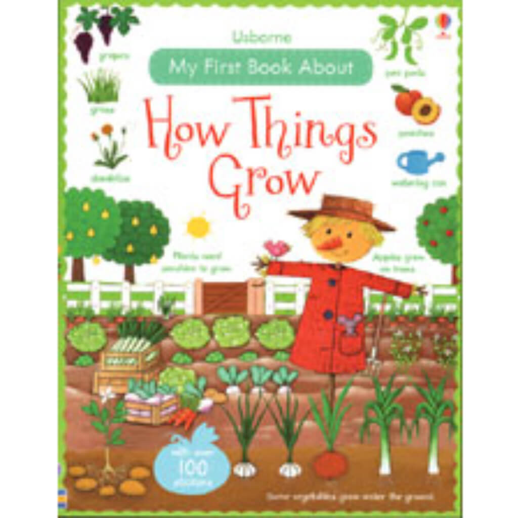 Book My First Book How Things Grow