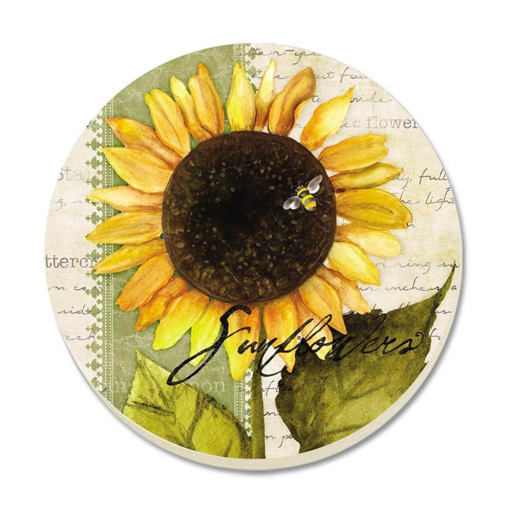COASTER RD SUNFLOWERS IN BLOOM 