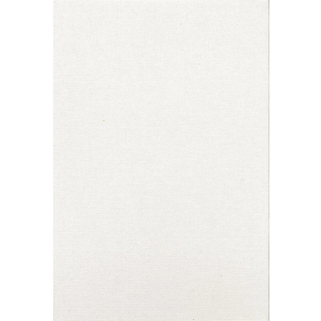 Artist Series Canvas Panels