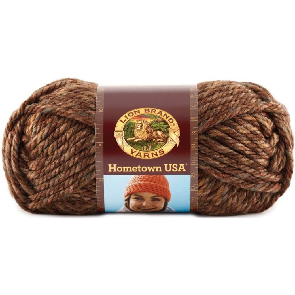 Lion Brand Hometown Yarn El Paso Autumn