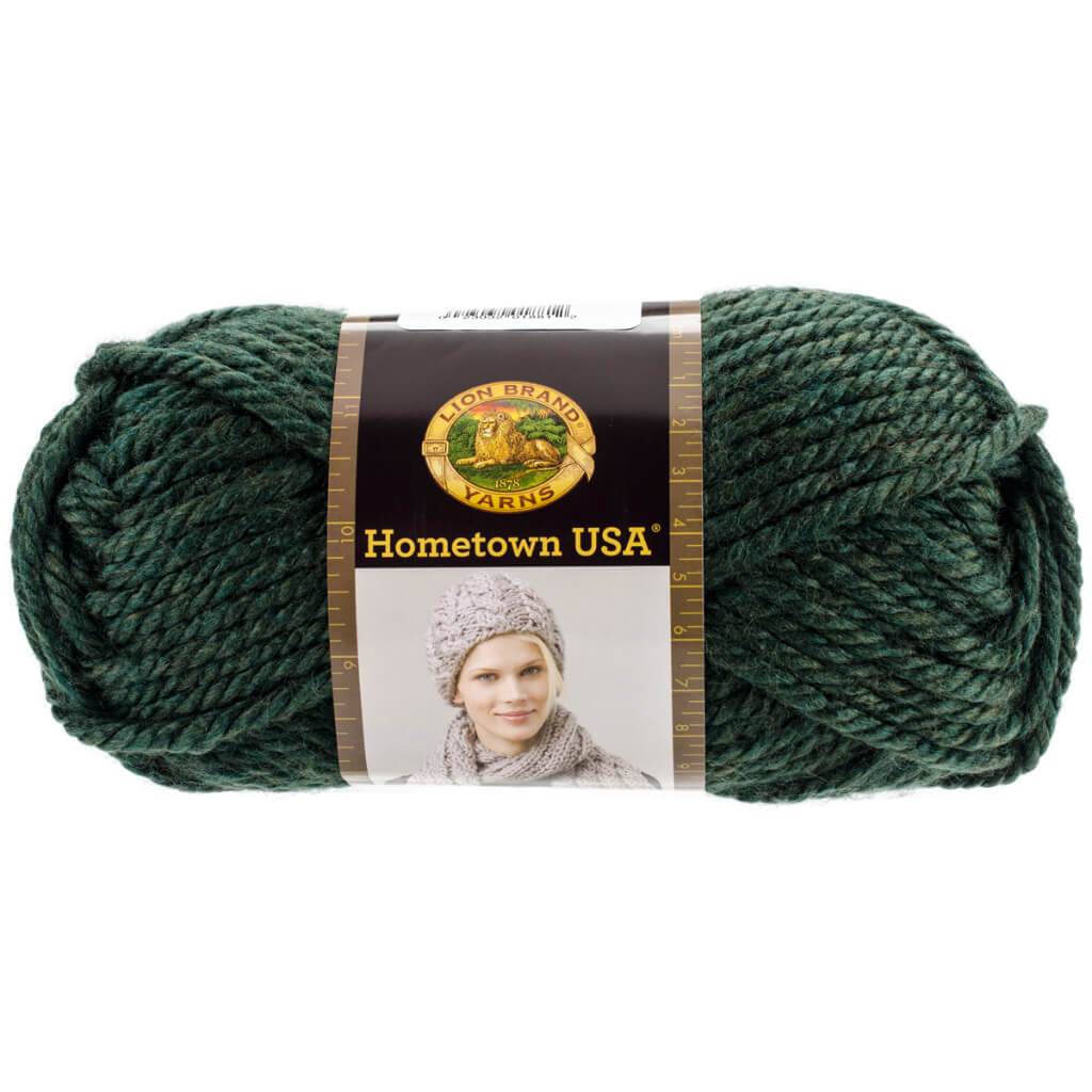 Lion Brand Hometown Yarn Vermont Green