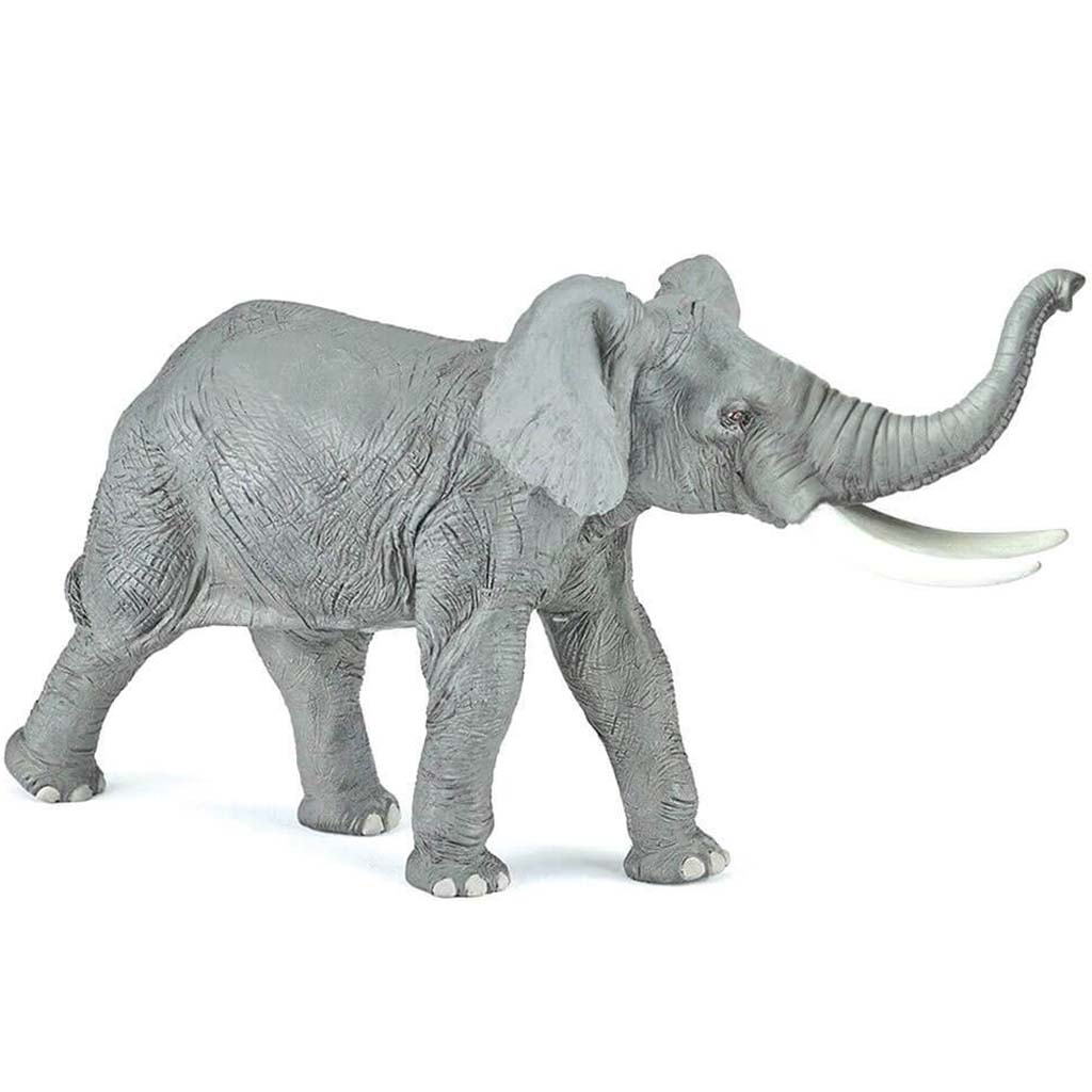 PAPO ELEPHANT 