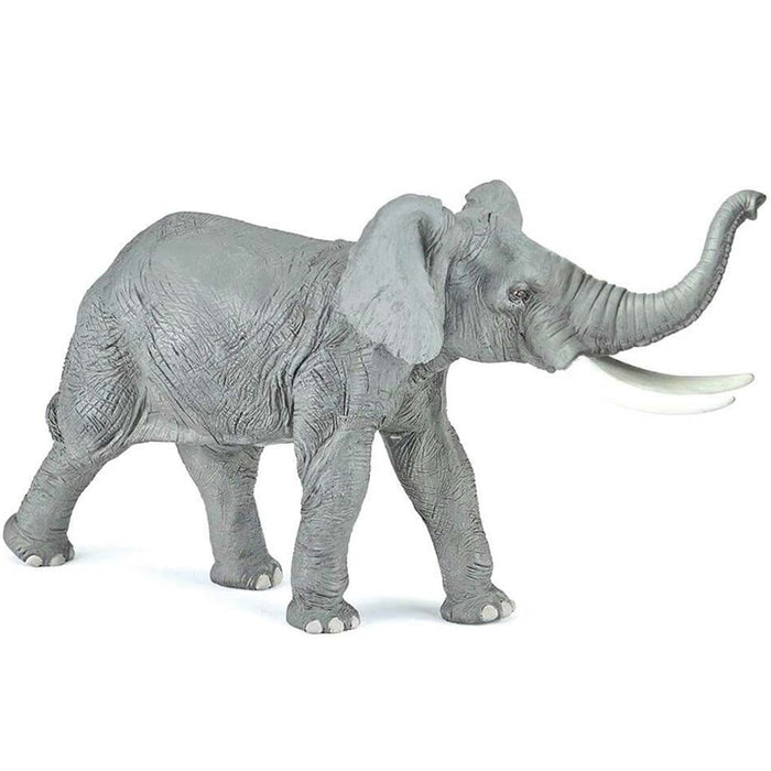 PAPO ELEPHANT 