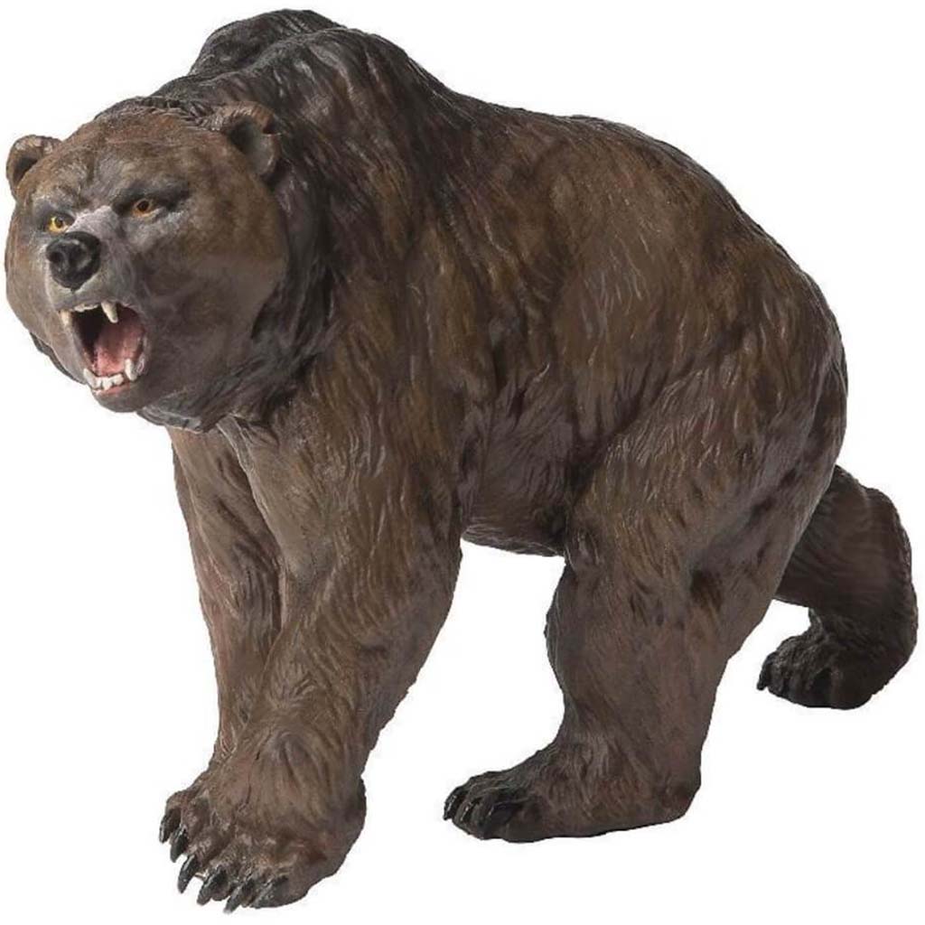 PAPO CAVE BEAR 