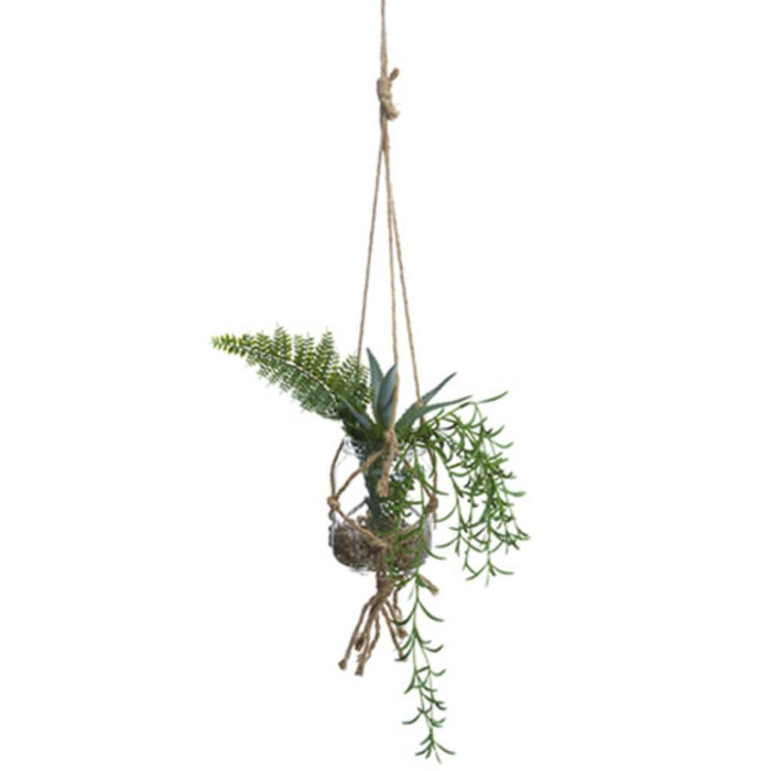 Succul.Garden In Vase 12"H/G 