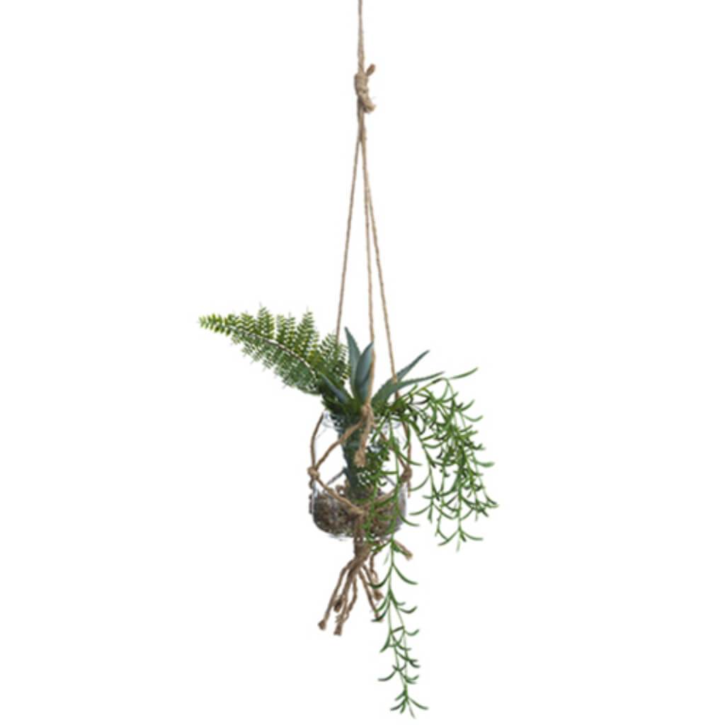 Succul.Garden In Vase 12"H/G 