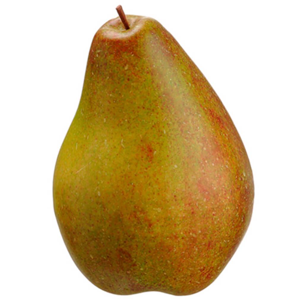 Pear Gr/Re 8&quot; 