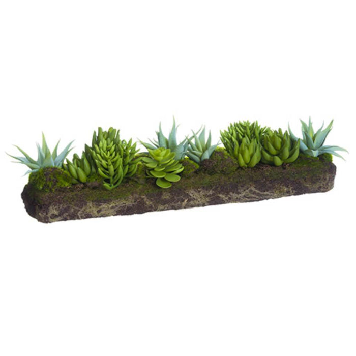 Succu.Gdn W/Soil/Moss 7.5H20"L 
