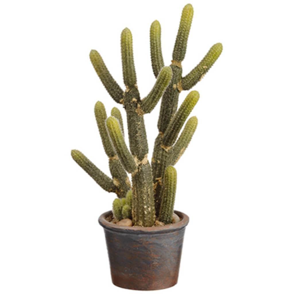 Cactus In Paper Mache Pot 13" 
