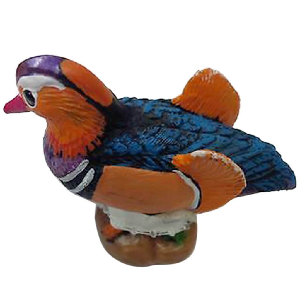 Mandarin Duck