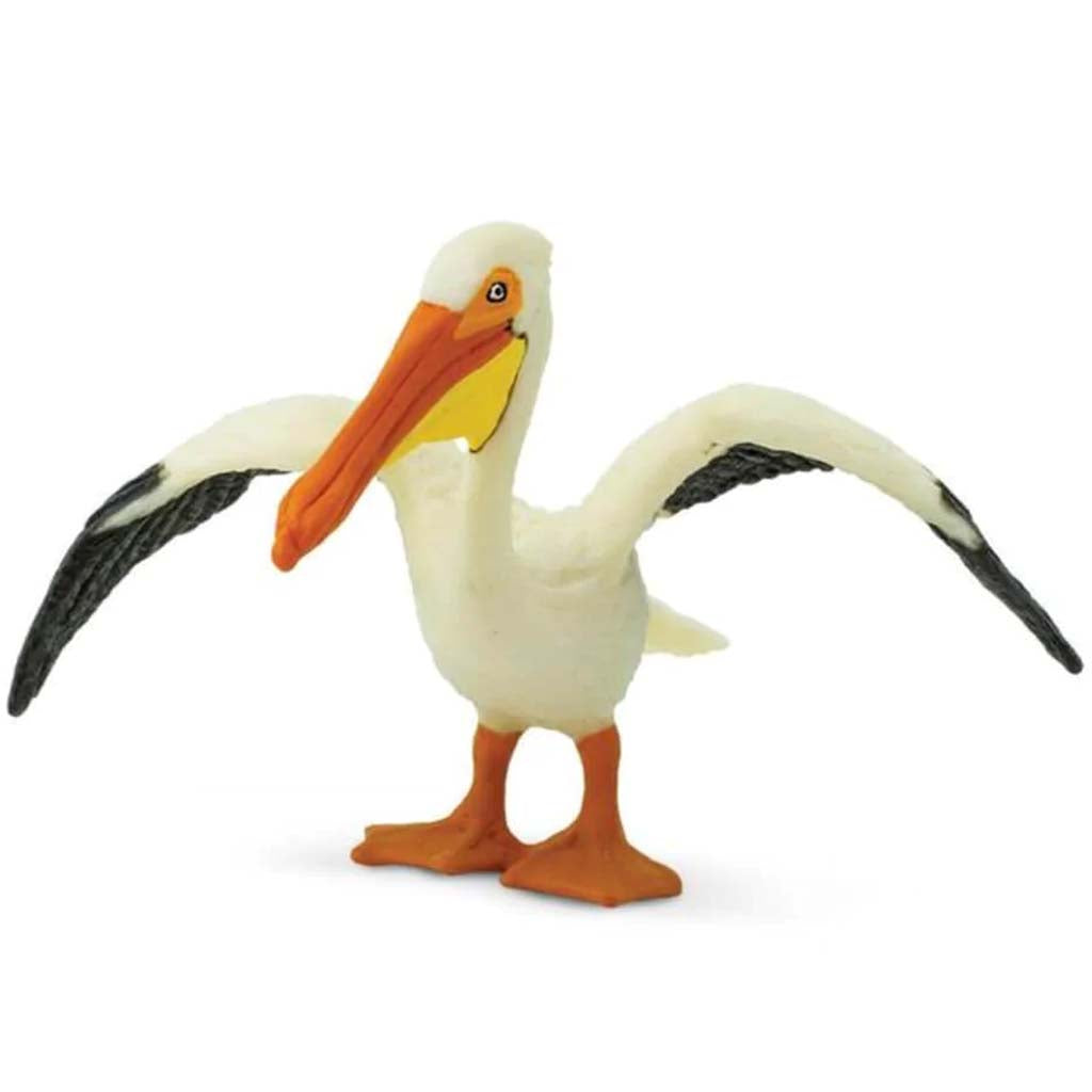 White Pelican 