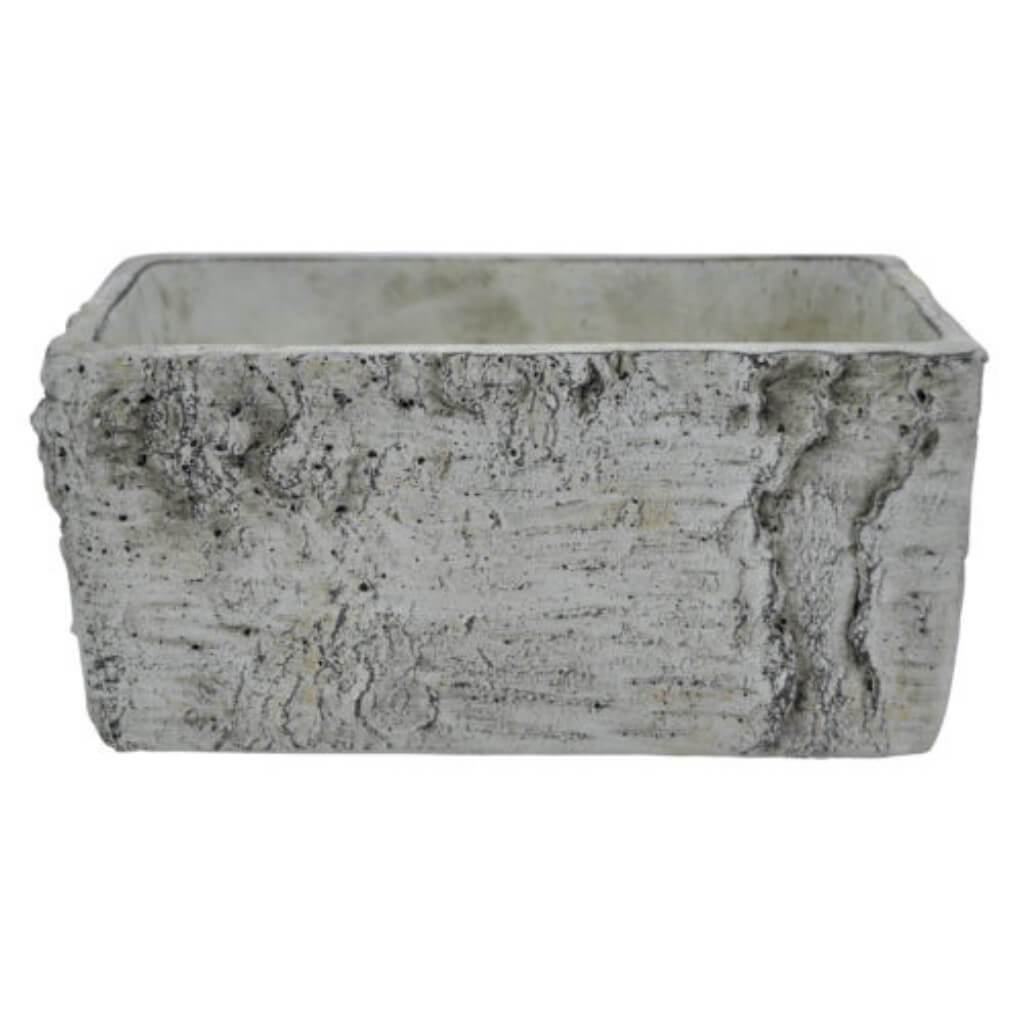 BIRCH LOOK POT 18.9"L 11.8"W 11"H 