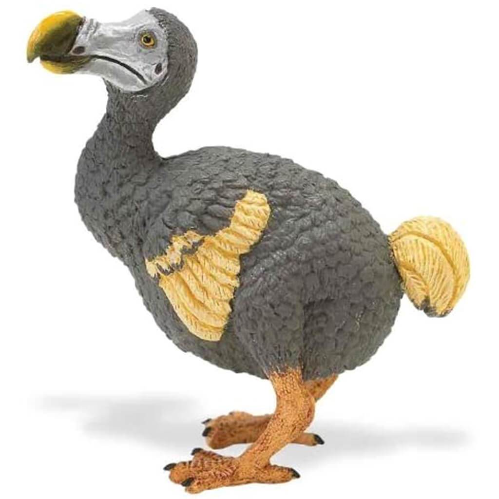 Dodo Bird