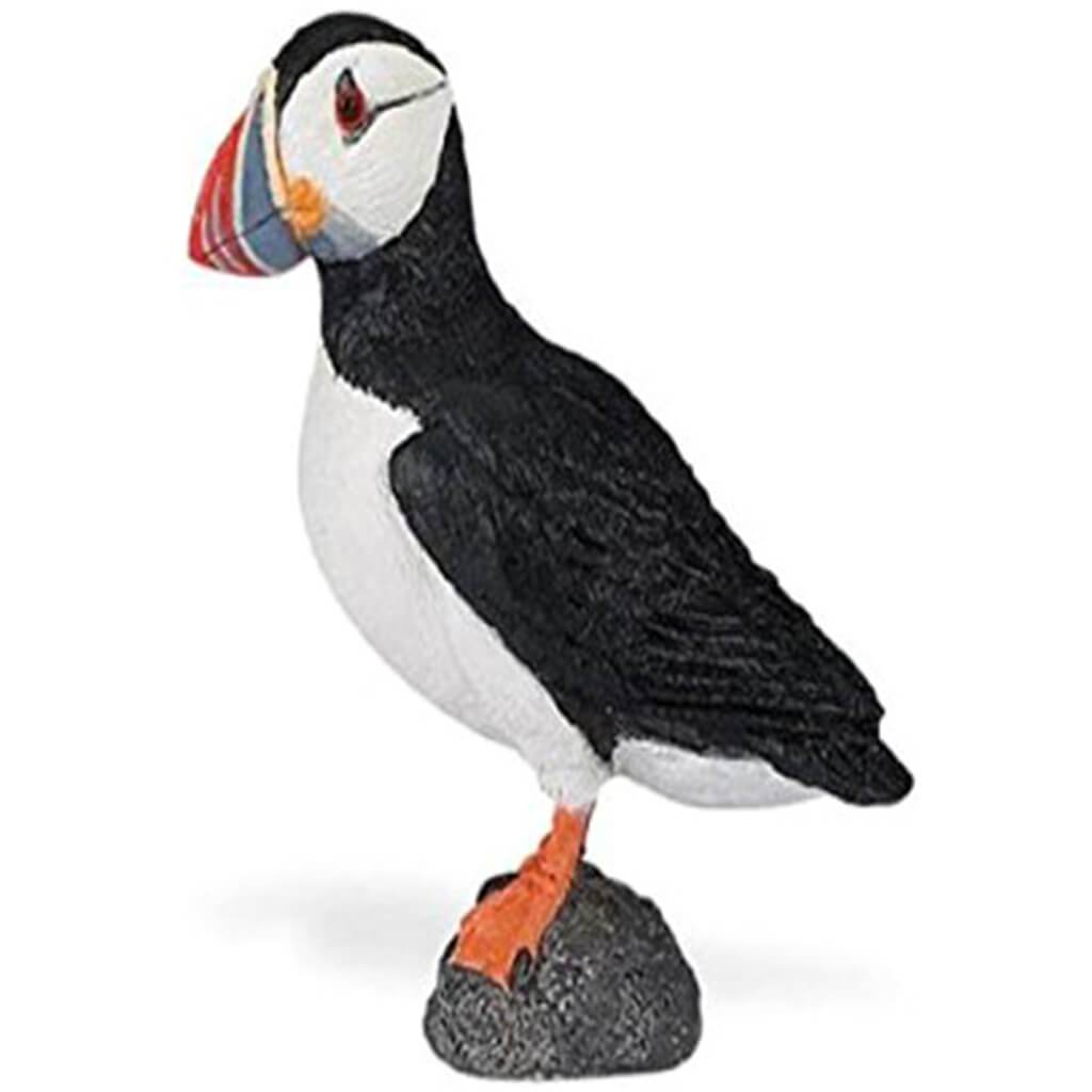 Atlantic Puffin