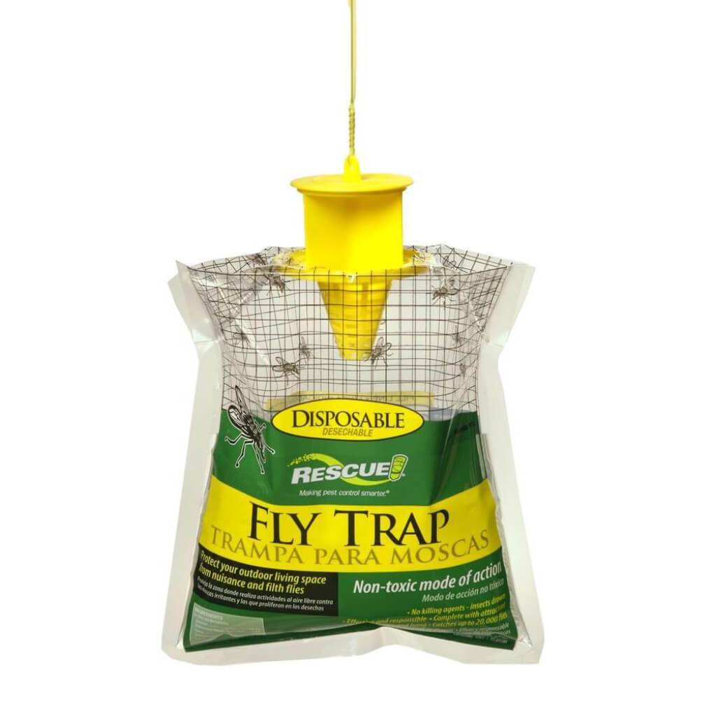 FLY TRAP DISPOSABLE DISPLAY 