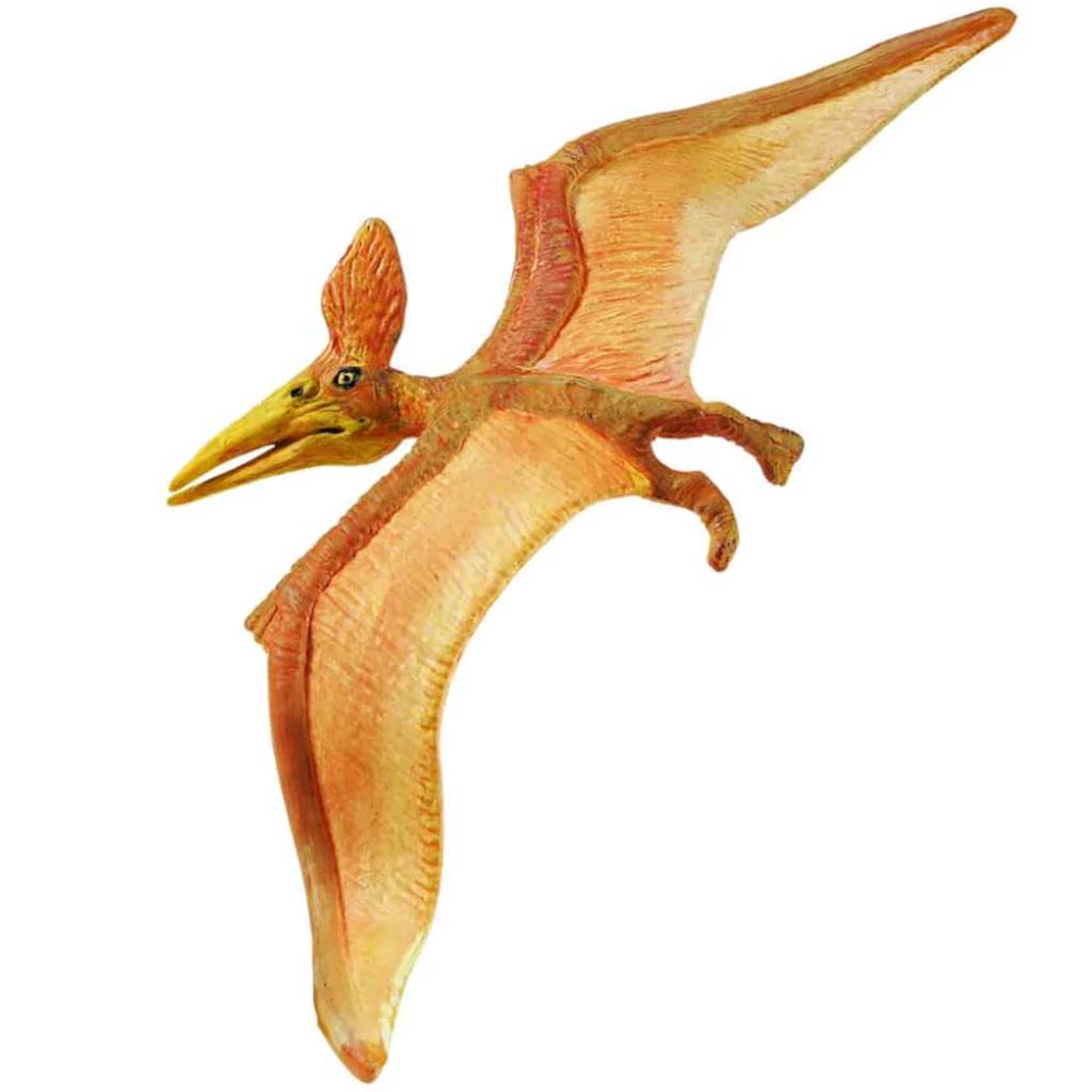 Pteranodon 