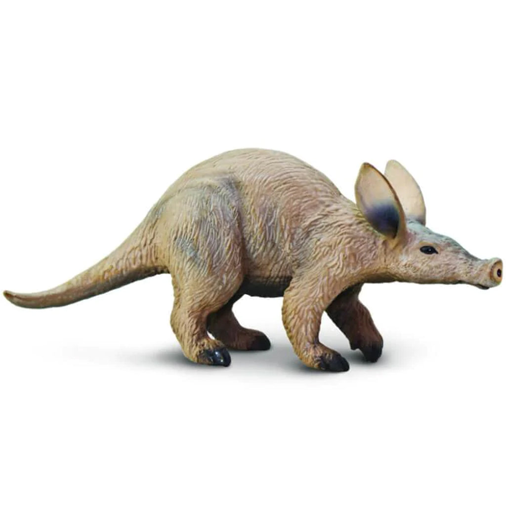 Aardvark 