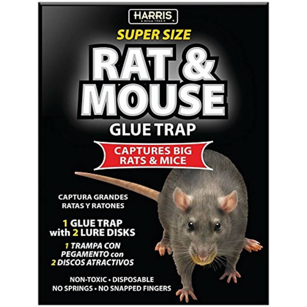 MOUSE &amp; RAT GLUE TRAP 