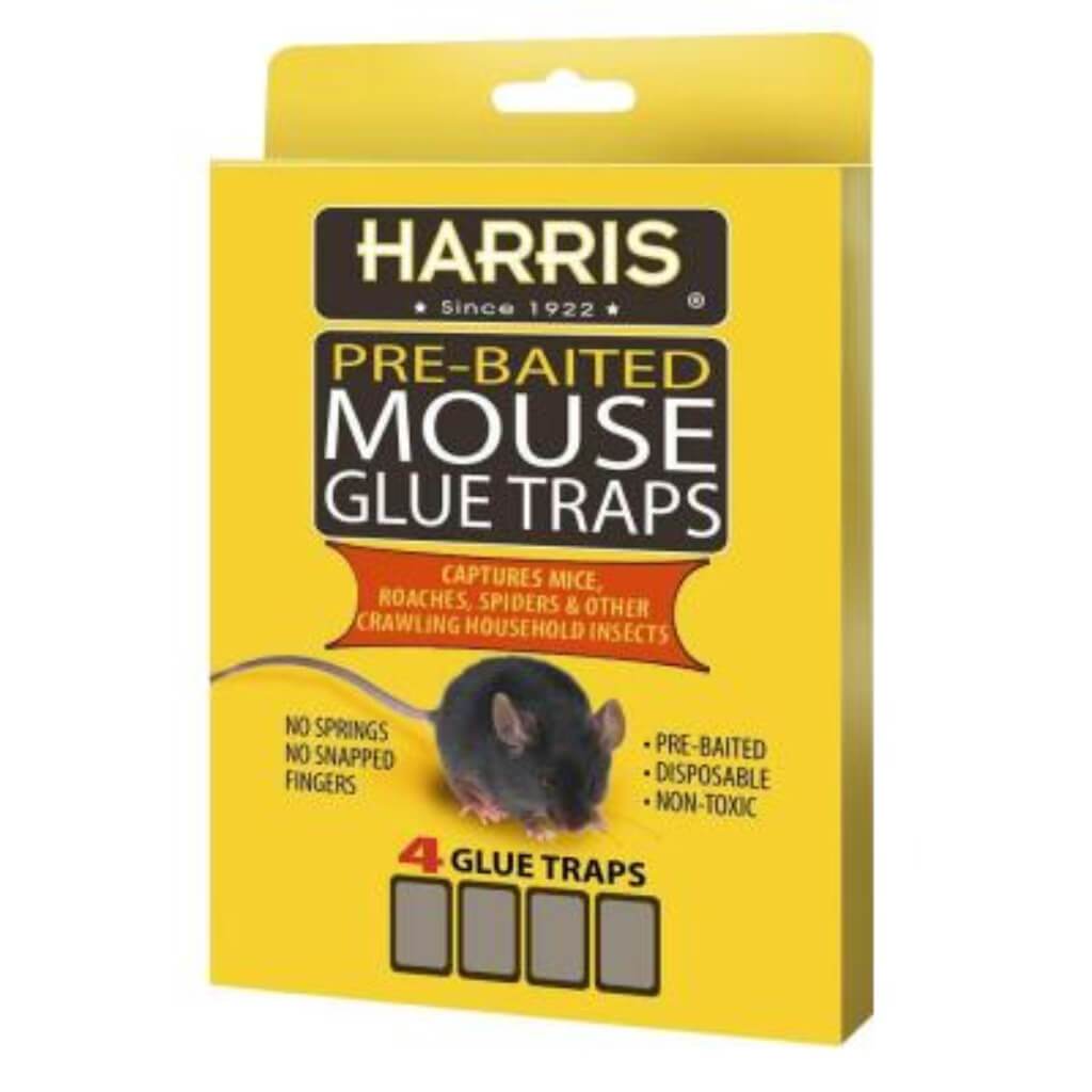 MOUSE GLUE TRAP 4 PACK W/LURE 