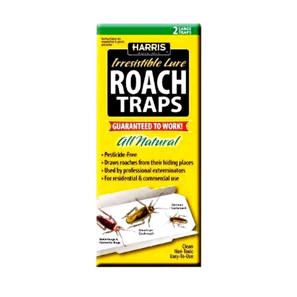 ROACH TRAPS 