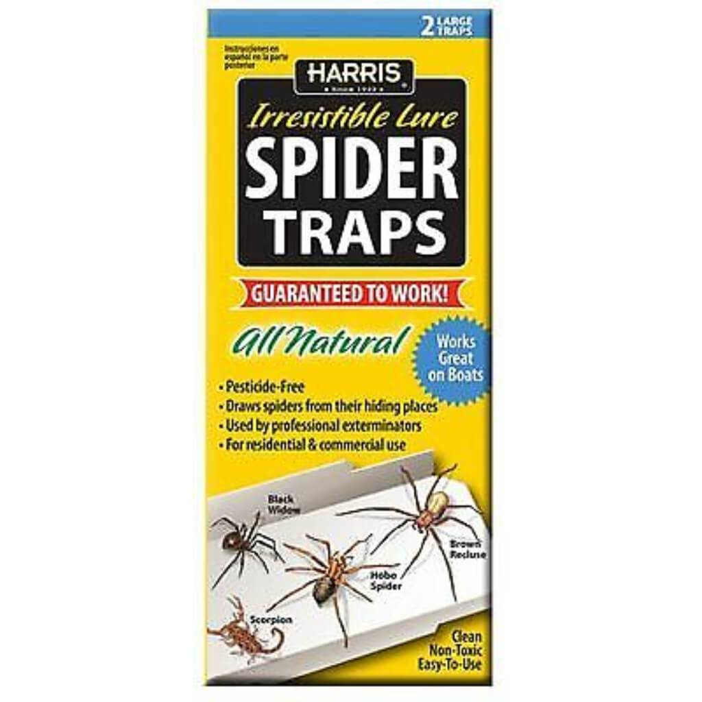 SPIDER TRAPS 