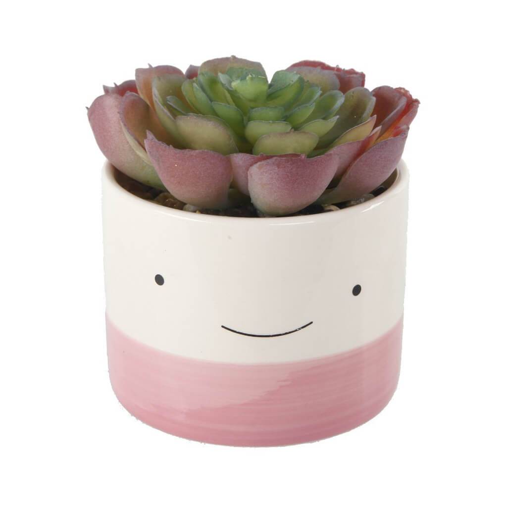 Sm 3A Happy Face Pot Succ Small 