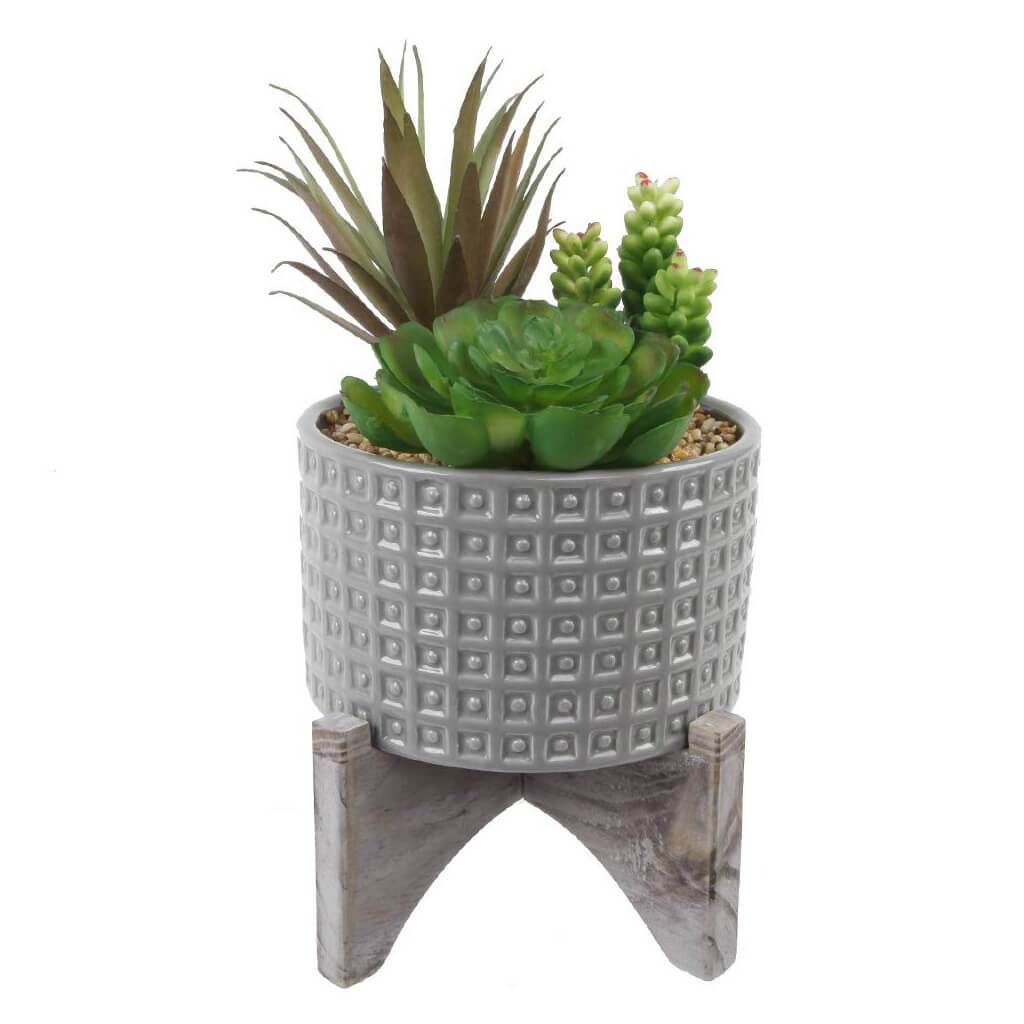 Succulent In Grey Pot W/Stand 