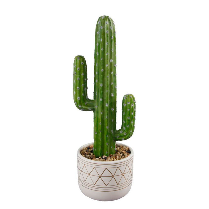 Cactus Pack 